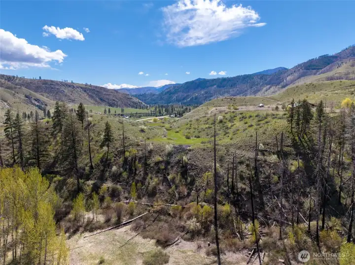 View of the property from other side of the ravine.
