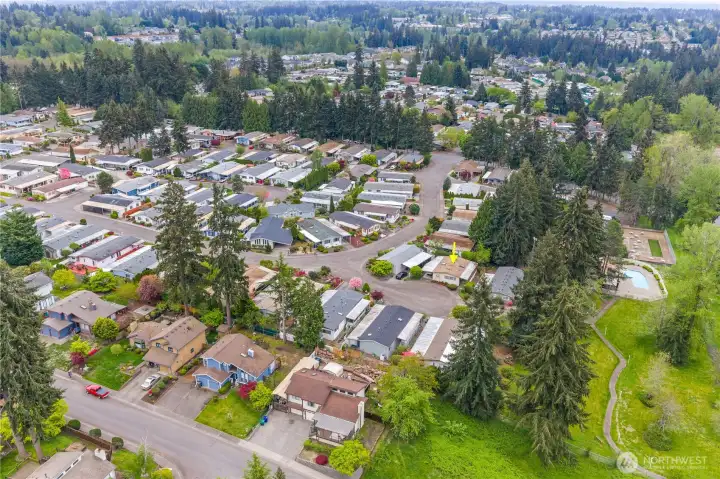 Aerial photo of the park