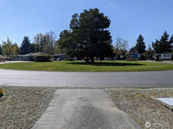 A peaceful park-like area across the street from the home.