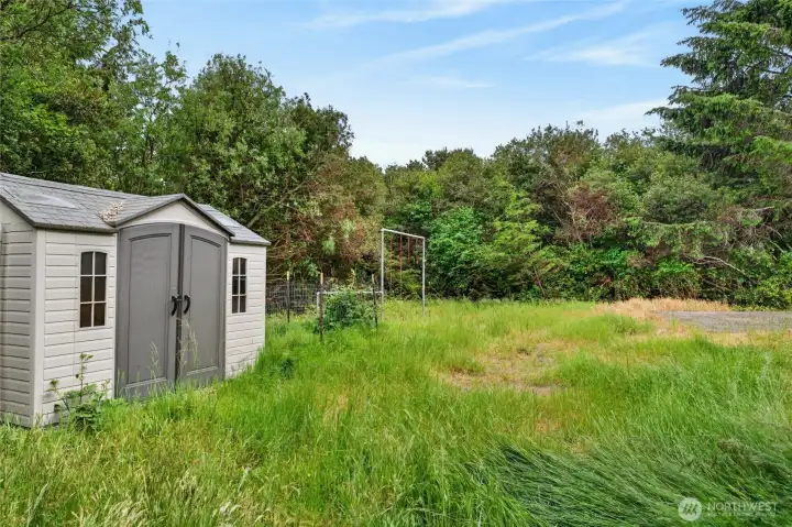 Explore the spacious yard space.