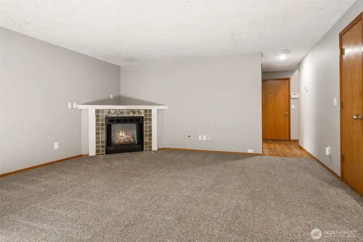 Natural gas fireplace.