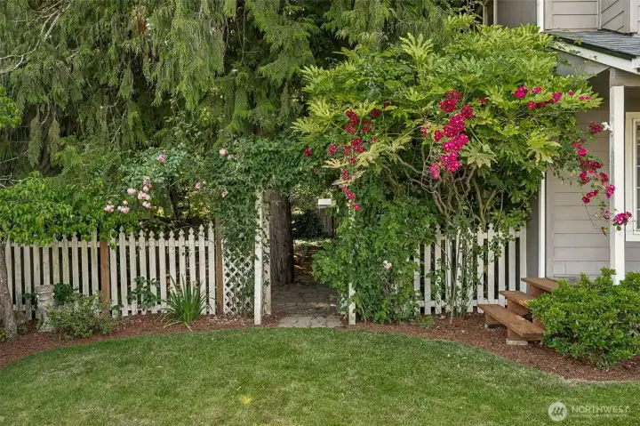 From the front yard to the back yard.
