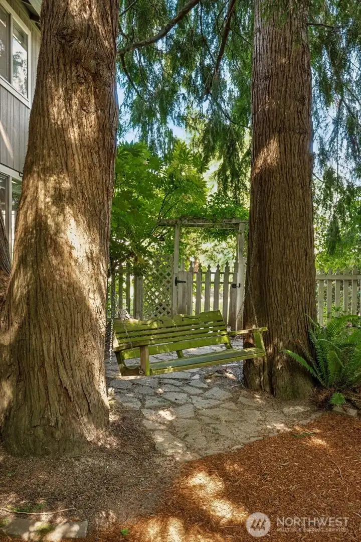 Welcome to the backyard!