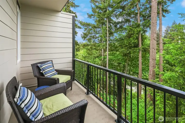 Covered deck off the main floor, overlooking the protected greenbelt