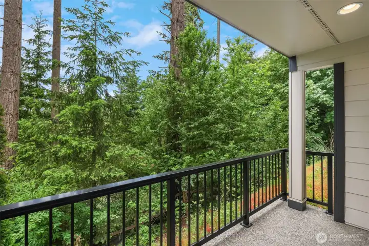 Lower level, covered deck overlooking the protected greenbelt