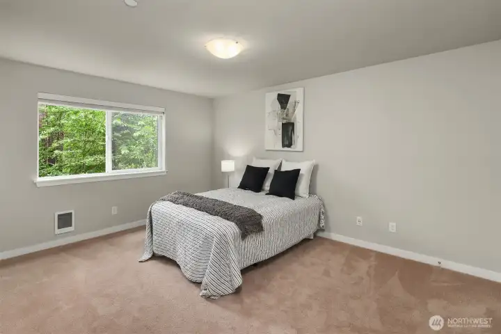 Lower level spacious bedroom