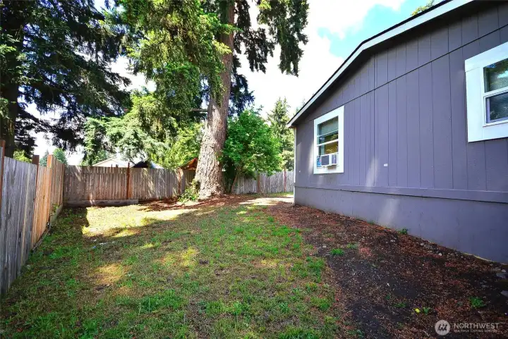 Open backyard space with great potential for outdoor activities and customization.