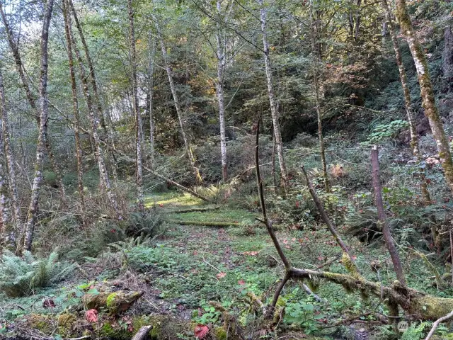 Middle of property facing water.