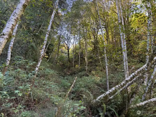 Looking up from the middle.