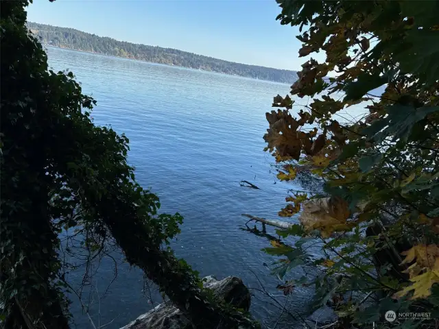 High tide waterfront.