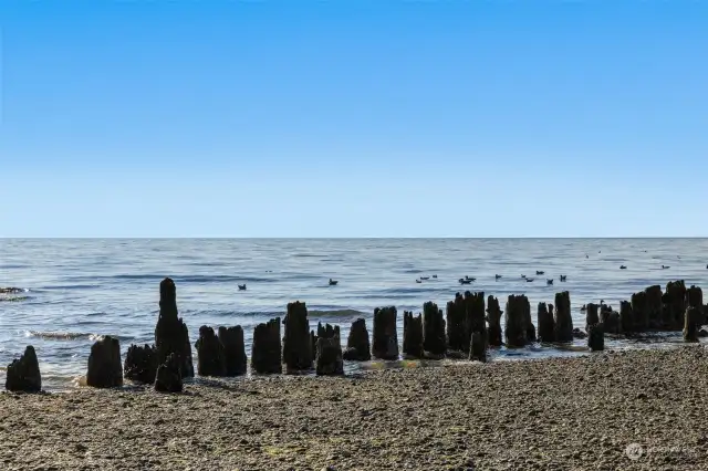 Rustic coastal elements and gentle waves add charm to the serene beachfront just minutes from home.