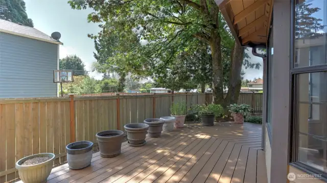 Step outside into your fully-fenced backyard surrounded by mature landscaping.