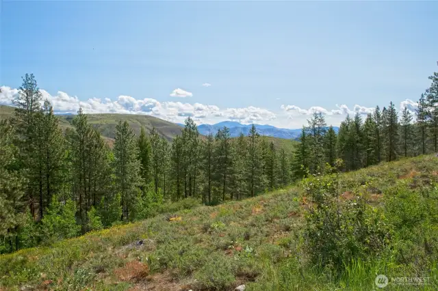 Looking SE