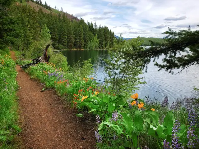 Lake Trail to Patterson Lake near property