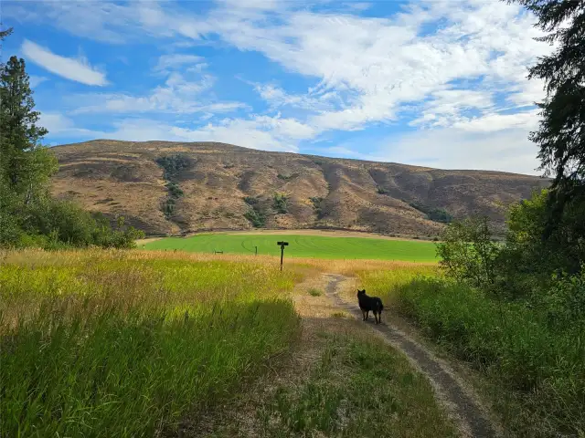 Radar Creek Trail near property. Hike, dog walk, snowshoe, mtb, trail run