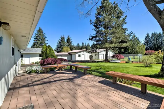 Back deck