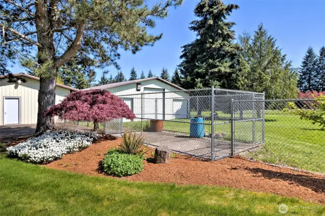 Dog Kennel or fenced garden.