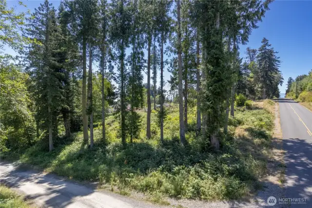 Two lots on the corner of Linda View Drive and Shine Road.  The adjacent parcels provide a great opportunity to choose the preferred access to the property.  Level building site is at the top of the properties.
