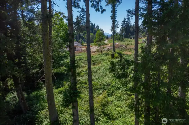 Some clearing done - beautiful light filled property from which to choose the best building site.  Possible second story Mountain and Canal views.