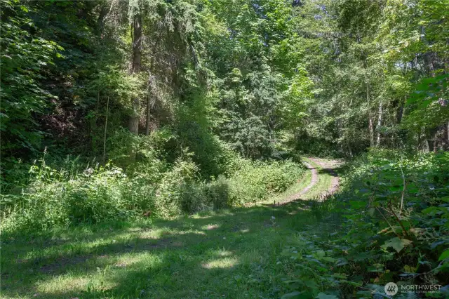Road across from the 2 lots leads to a beach on the Hood Canal for some serious boating and fishing.