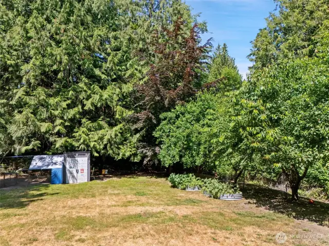 Fruit trees to the right.