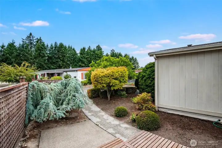 Mature landscaping adds privacy while keeping the yard simple to maintain.