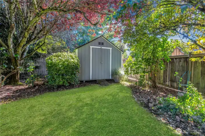 Shed for all your garden tools