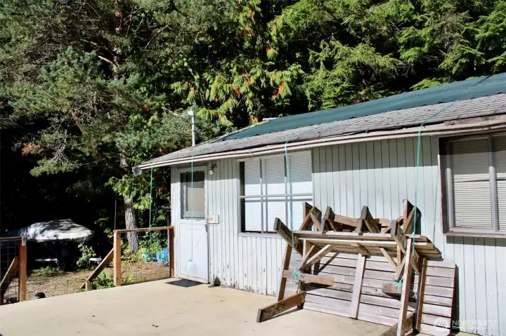Charming cabin with excellent potential!