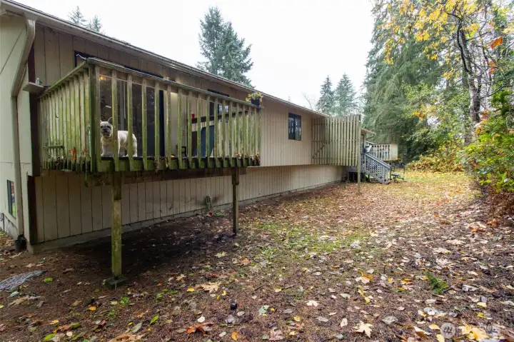 Large backyard - view from 1177 side