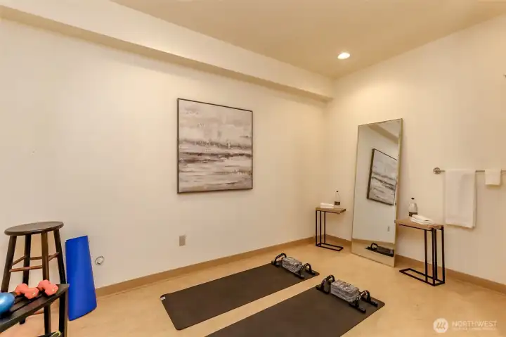 Downstairs bathroom with flooring for lifting weigths and excercising
