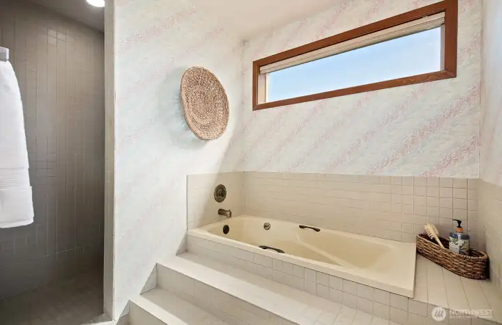 Main Primary jetted tub and walk-in shower.