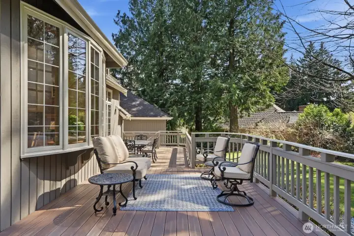 Doors off the kitchen area lead to the extensive Timbertech deck that wraps the entire back of the house.