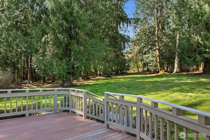 Beautiful, flat west facing backyard.