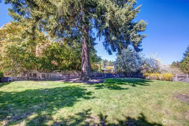 This homesite was selected by original builder for it's flat yard street to street