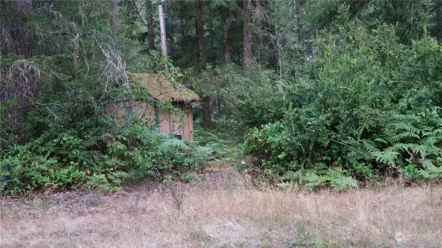 storage shed with power poll next to it