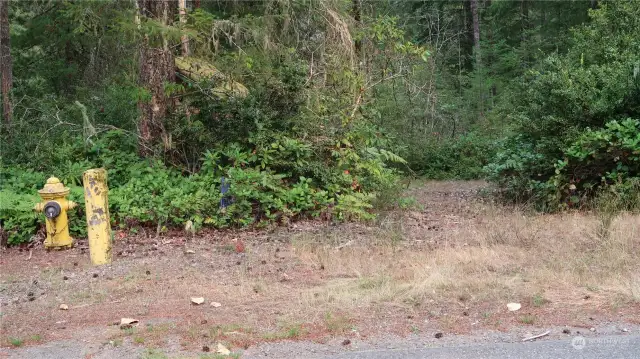 Driveway going into the property