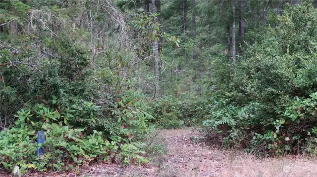 Circular driveway into the property