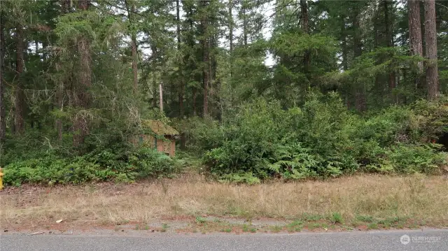 Looking into the property you can see the shed and lots of trees