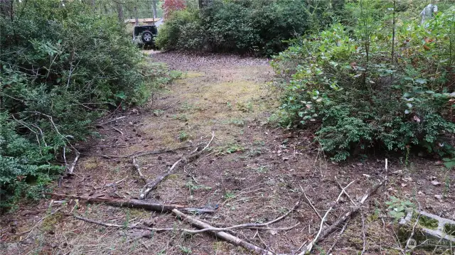 Going into the property is a cleared area.