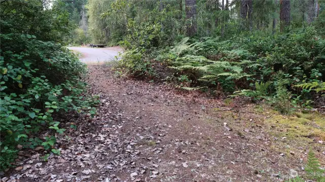 Nice open driveway