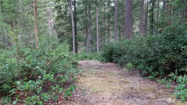 Driveway and a large open area