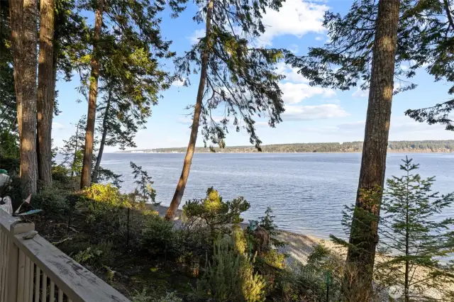 An amazing 290 feet of low bank waterfront with a private boat house.