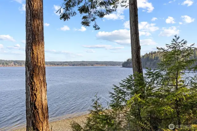 Meander along the shore and explore the shared beach and tidelands.