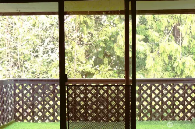 Sliding Door from Living Room to Balcony
