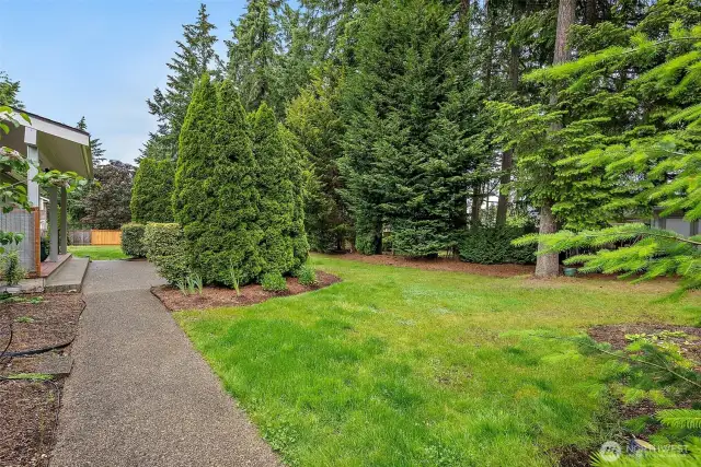 Back walkway