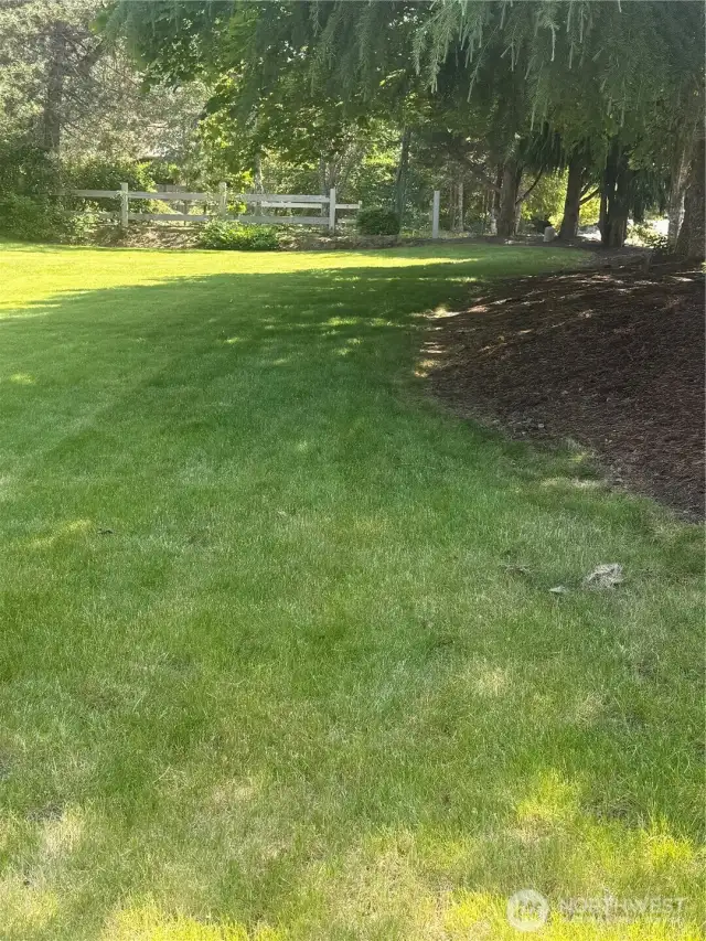 Front yard 2
