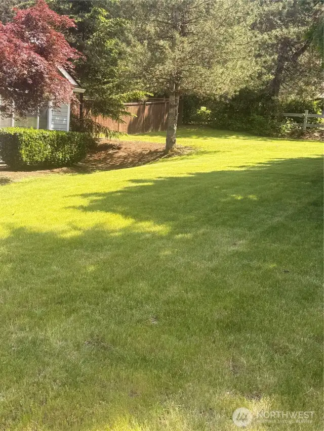 Front yard 3