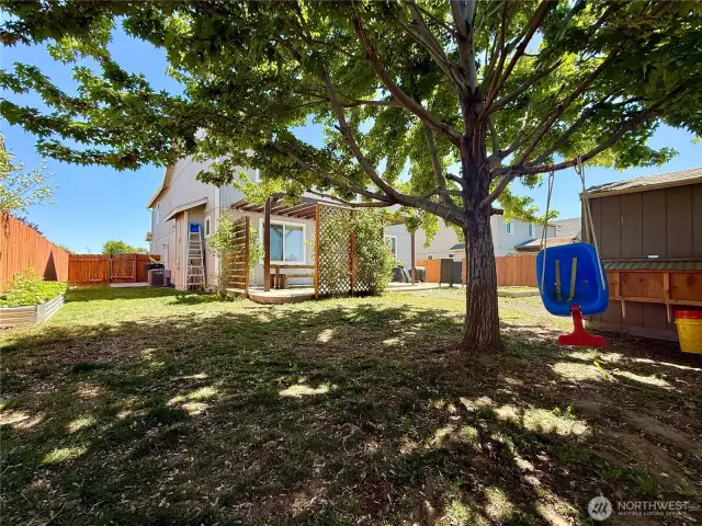 fully fenced backyard