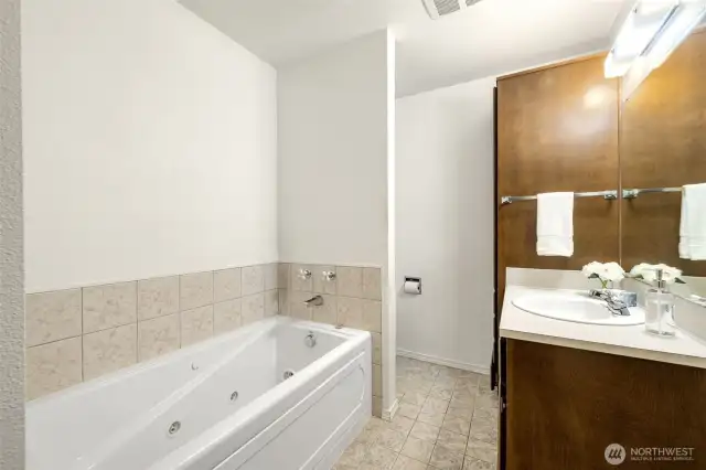 Master Bath Jetted Tub