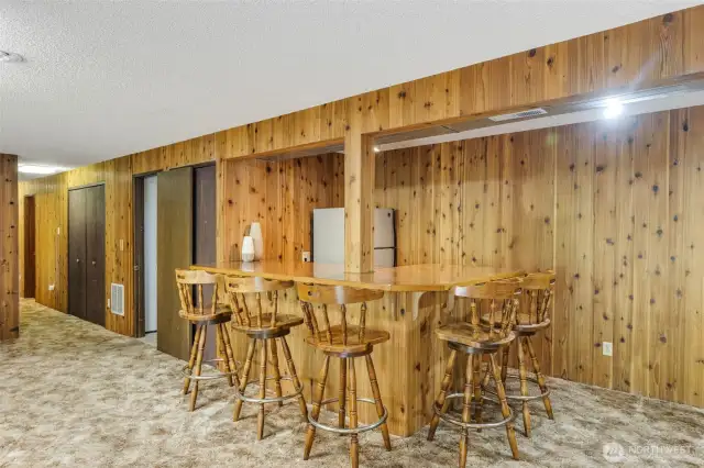 Basement Rec Room Ba